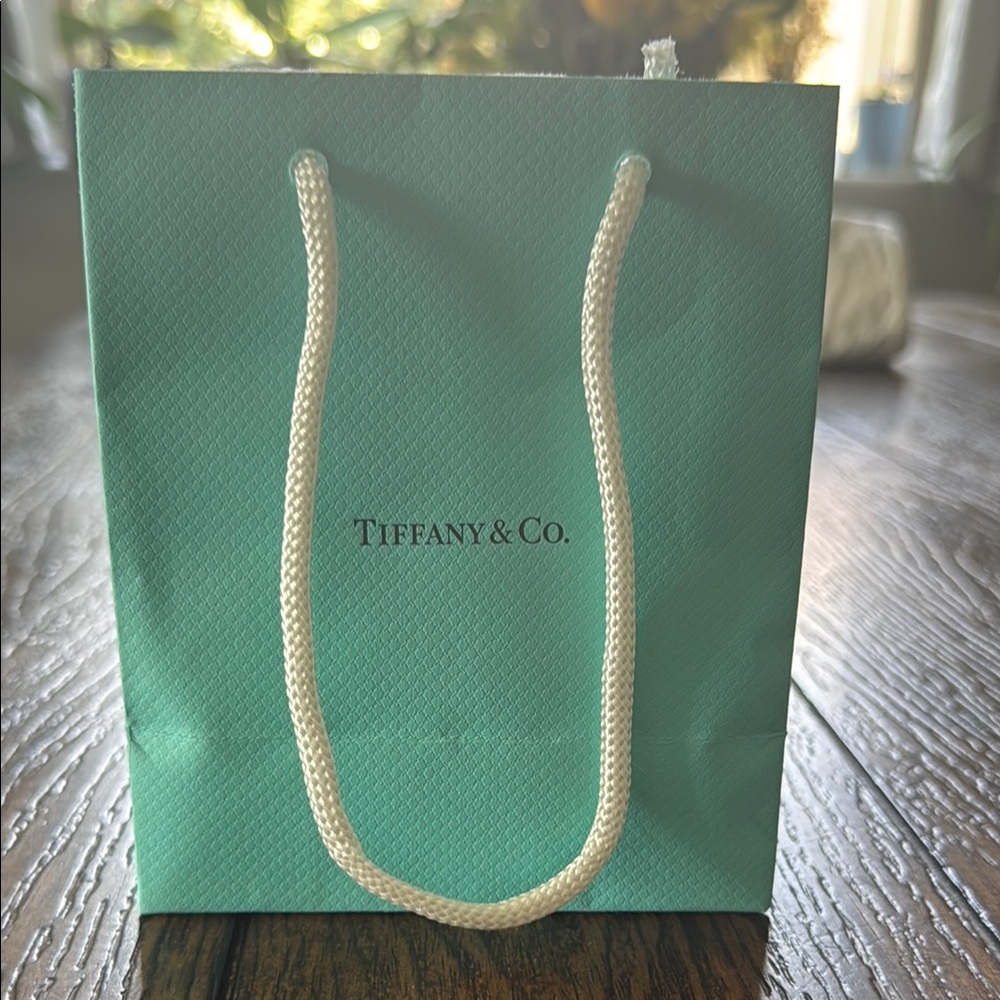 Tiffany & Co. Blue Gift Bag